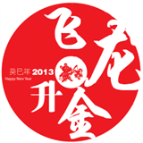 飞龙升金1
