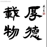 财经海棠