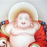 智金财富0