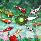 慕天泽