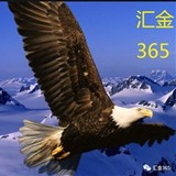 汇金365