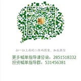 信管家咨询
