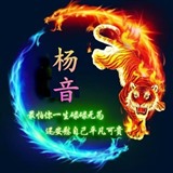 杨音策金JIN161628