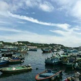林宏毅