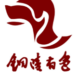 铜冠金源期货
