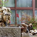 树叶易金