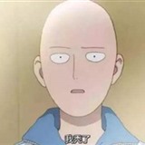 考拉不吃西瓜呀