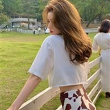 外汇招商韩菲儿