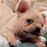 19经融夏金元