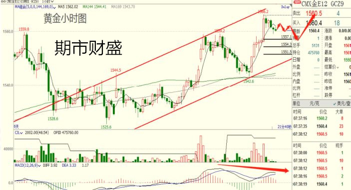 微信图片_2019黄金_副本.jpg