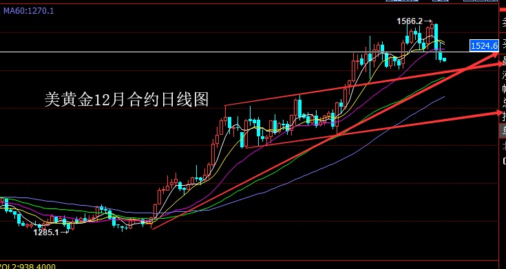 NUHMX``EUIELG~BC}ZH8711.jpg
