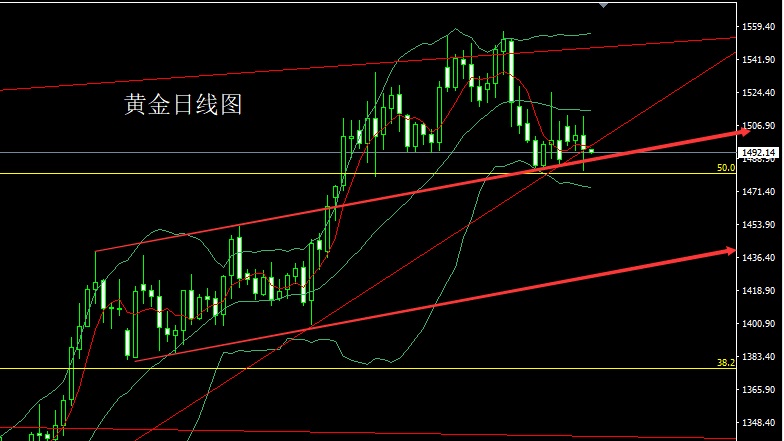 TRJX]JK8$~PF22]J~ZJ_54A.jpg