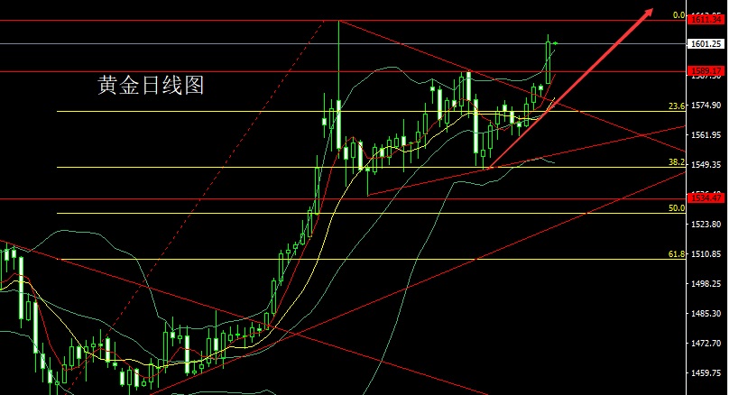 2I9B]PN~W$EP22N`60~0S13.jpg