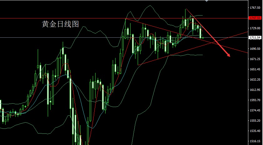 85BC{QL[O1MBM3}}~`J5$CW.jpg