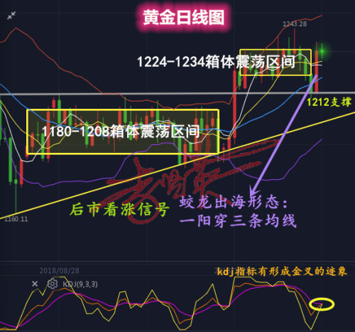 黄金日线图_副本.jpg