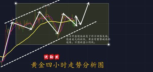 QQ图片20181107165448.jpg