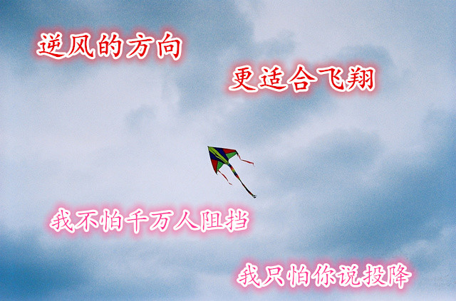 6367378907621763075724113.jpg