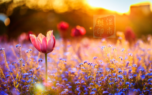 chmkj1bcj4uidw-eaas1rgev7fmaakjbql5m58aczxe426_副本.jpg