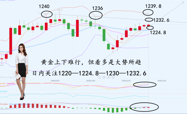 黄金走势分析11.24.jpg