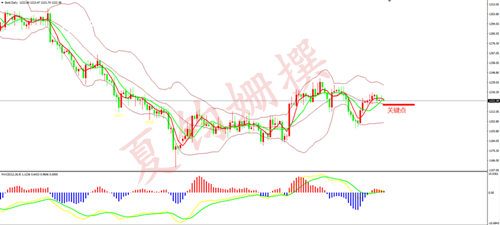 c2cd-hpfyces5658505.png