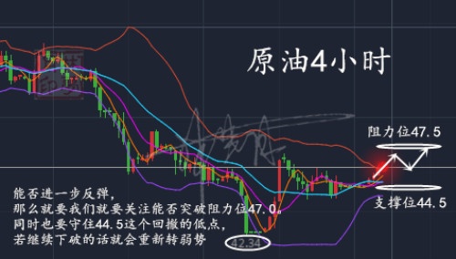 QQ截图20181231160443_副本.jpg