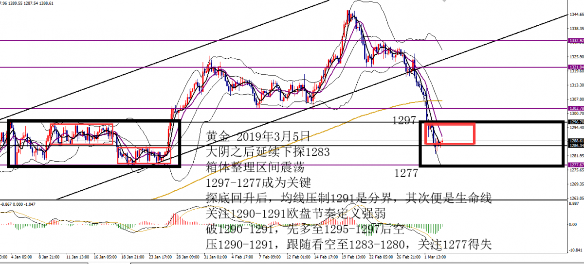 0305黄金.png