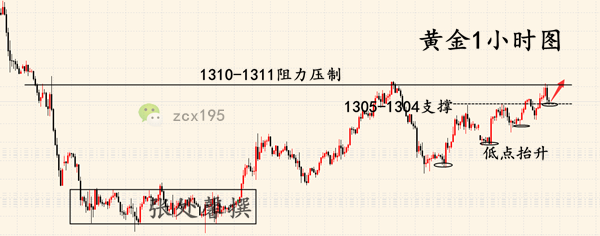 金 副本.png