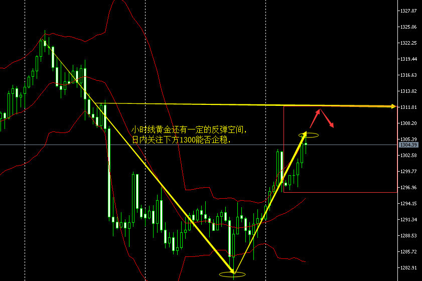 4.9午夜黄金.png