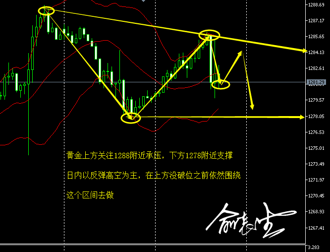 4.30午夜黄金.png
