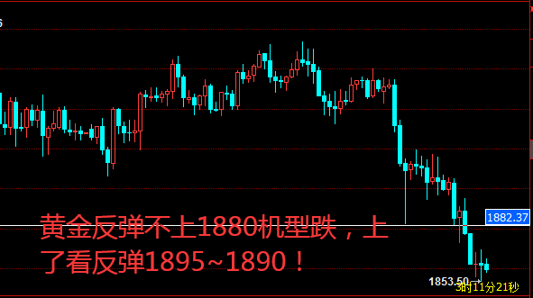 黄金.png