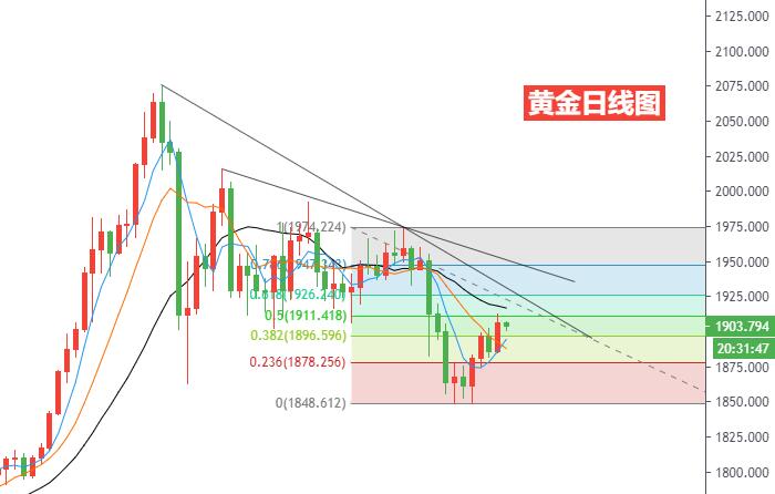 黄金日线图.jpg
