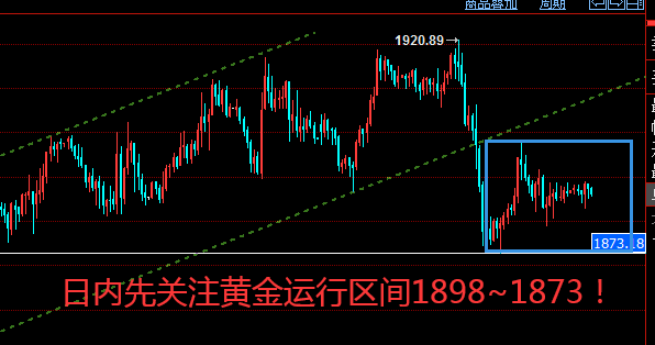 黄金4.png
