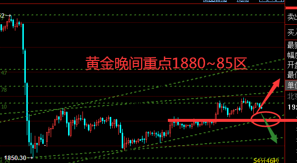 黄金1.png