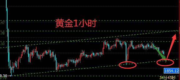 黄金1.png