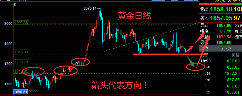 黄金日.png