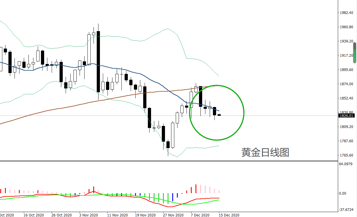12.19黄金日线.png