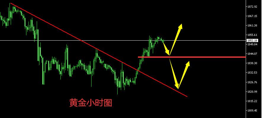 黄金.jpg