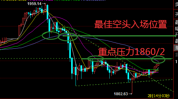 黄金4.png
