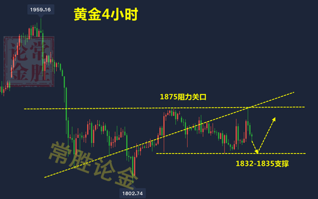 黄金周评.png