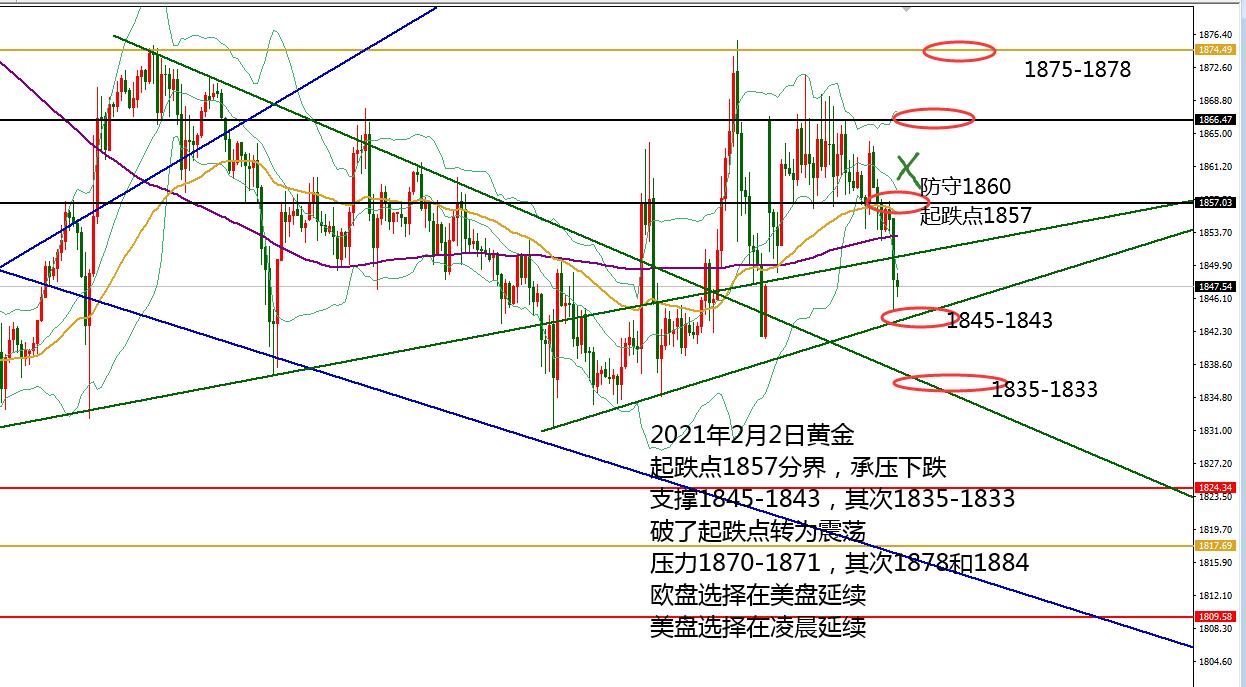 0202黄金.jpg