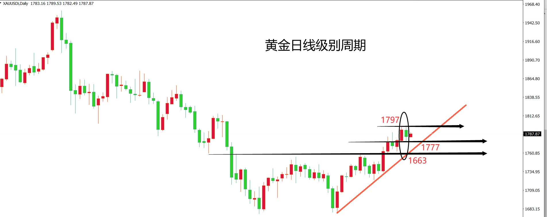 黃金7.png
