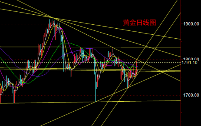 黄金日线图.png