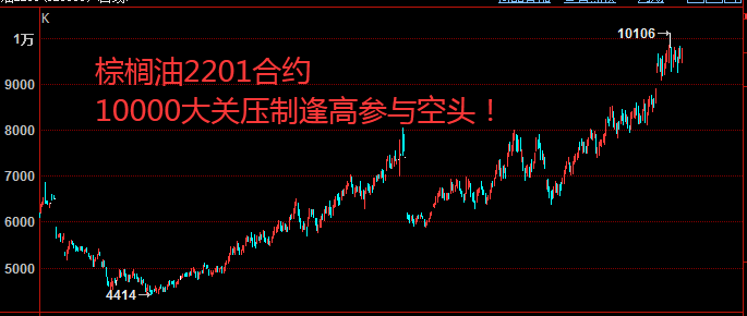 棕榈油.png