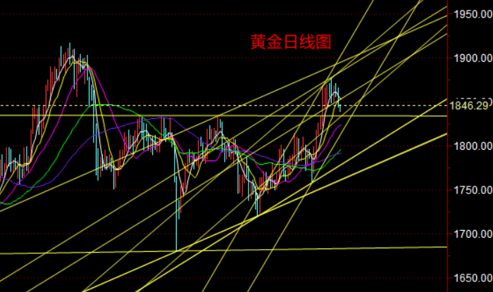 黄金日线图.png