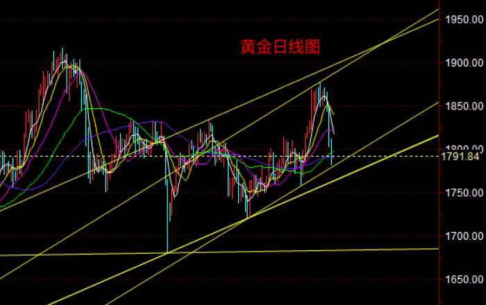 黄金日线图.png