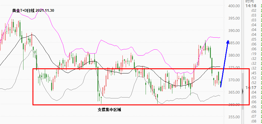 黄金T+D.png