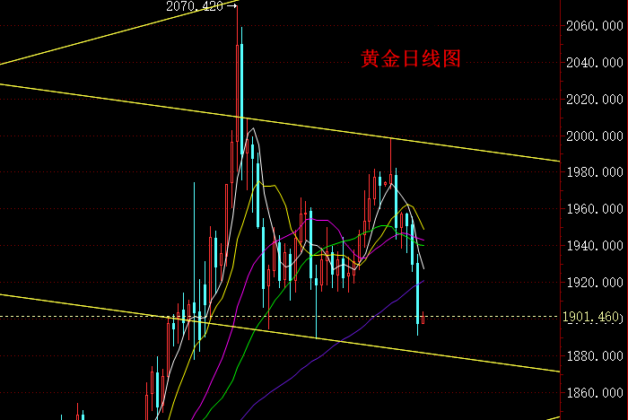 黄金日线图.png