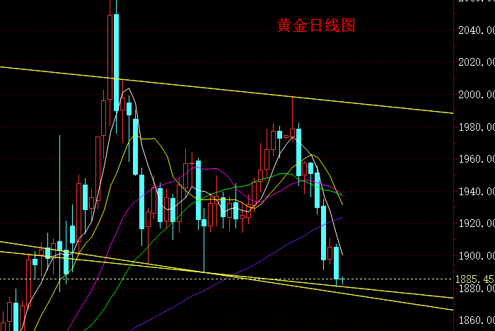 黄金日线图.png