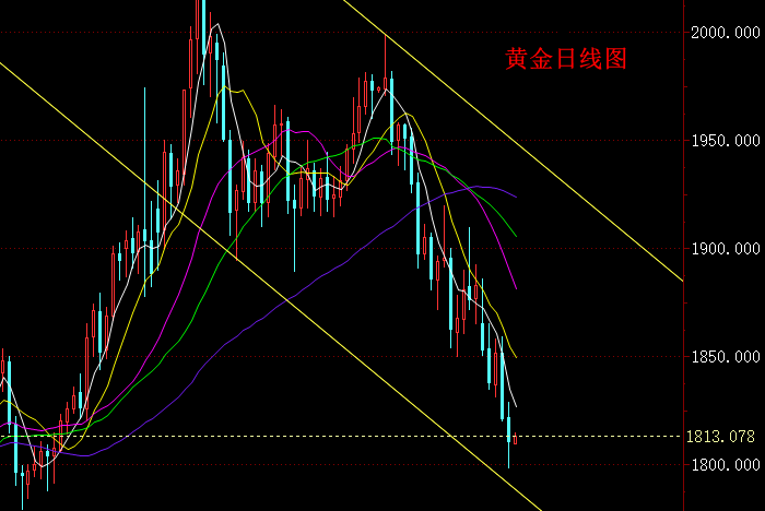 黄金日线图.png