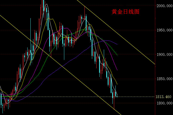 黄金日线图.png